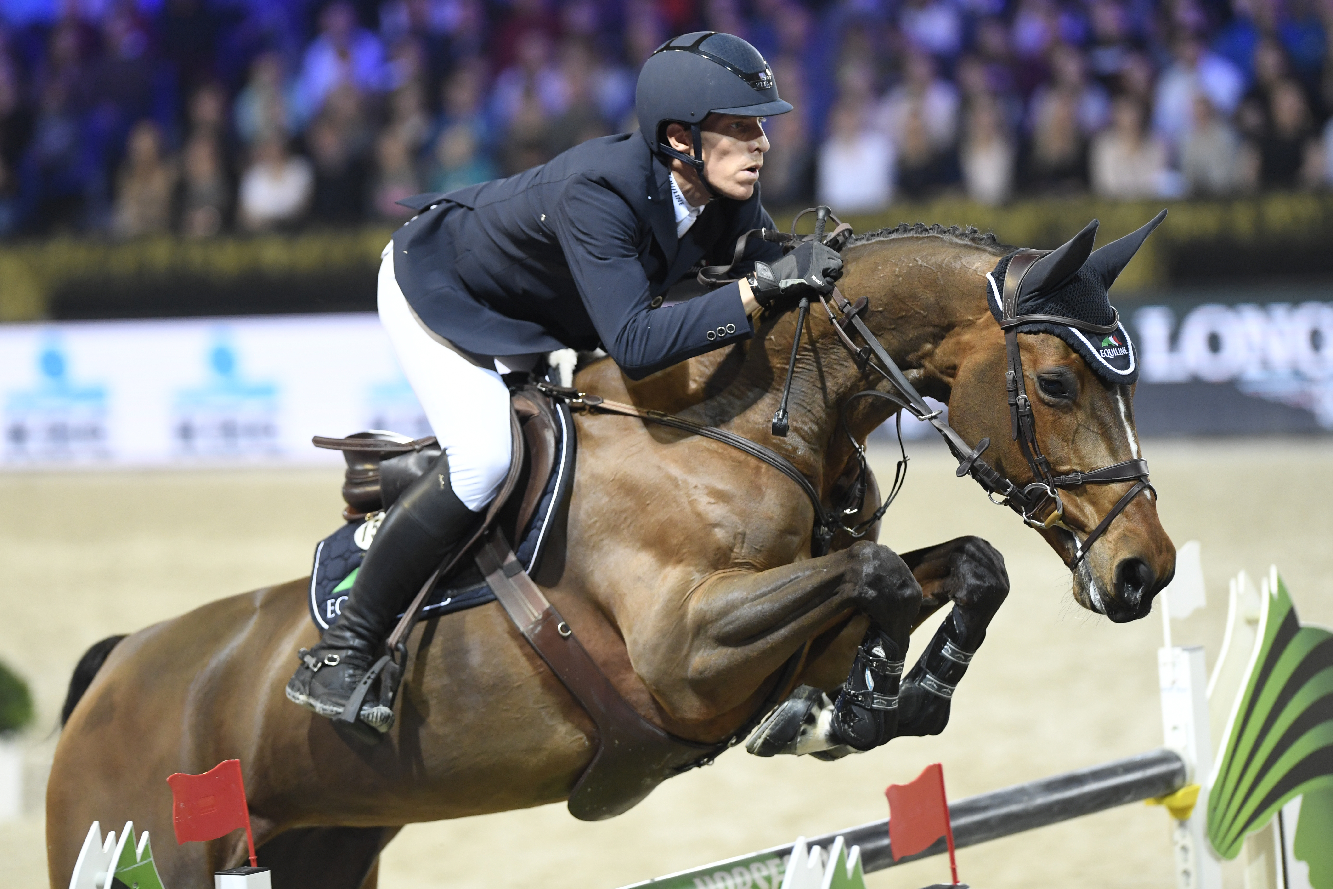 Olympic showjumping mare